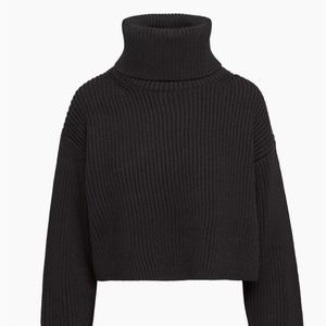 Aritzia Guell Sweater